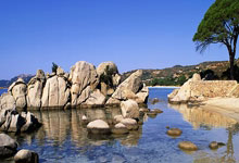 联系我们（Telegram ）飞机号