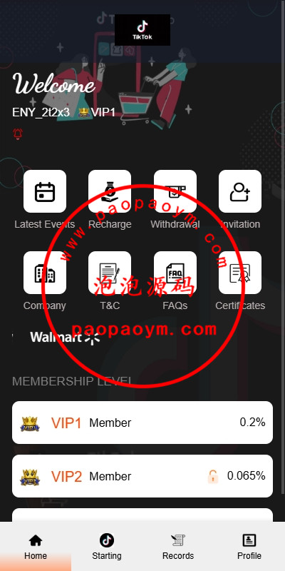 海外TIKTOK抢单刷单系统/连单卡单/前端VUE